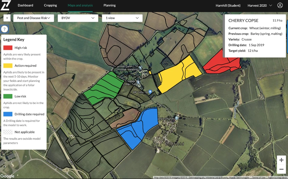 The threat of BYDV in winter cereals