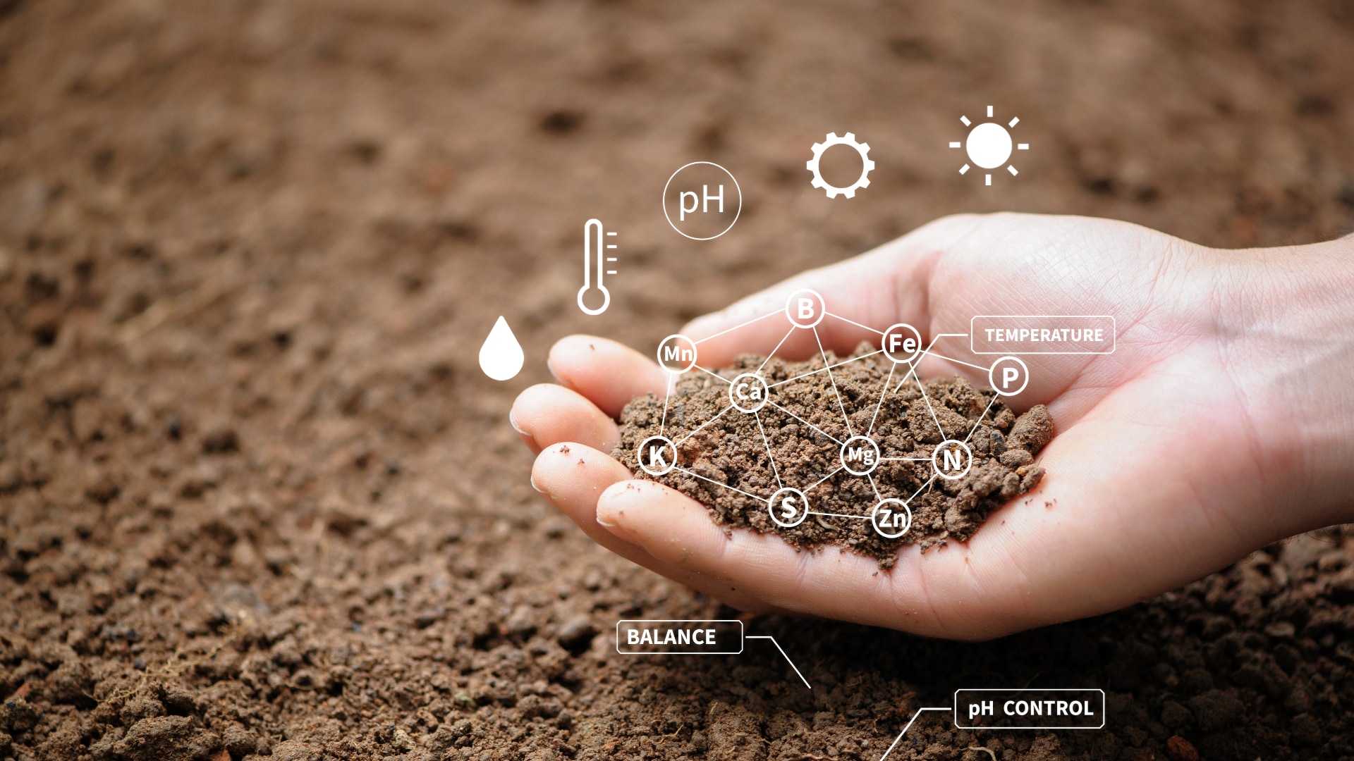 crop-ai-graph-brown.jpg