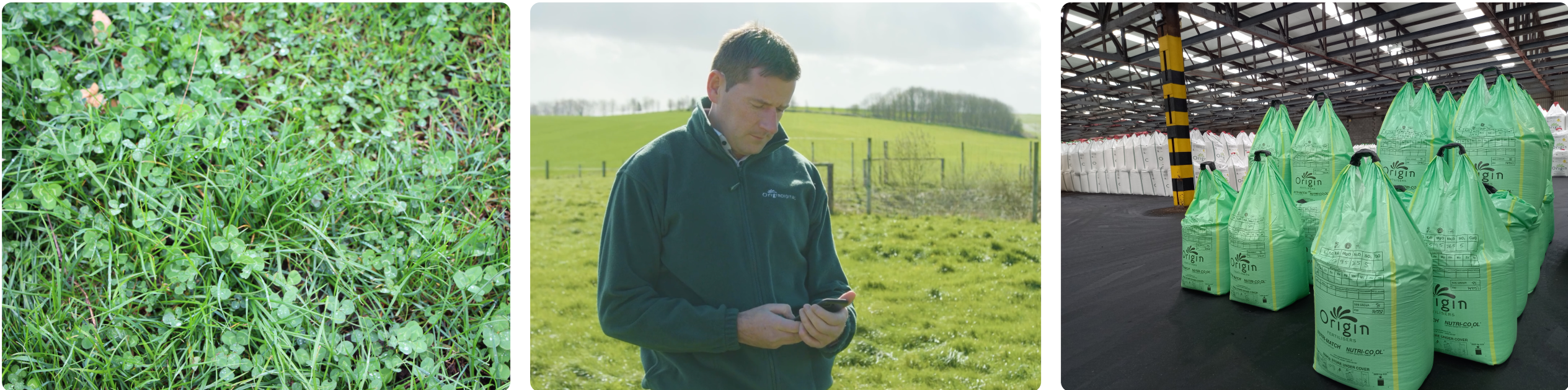 Prescription nutrition supplies the clovers used in the NUE-Leg project with balanced nourishment that meets their requirements and enables them to efficiently fix nitrogen from the air