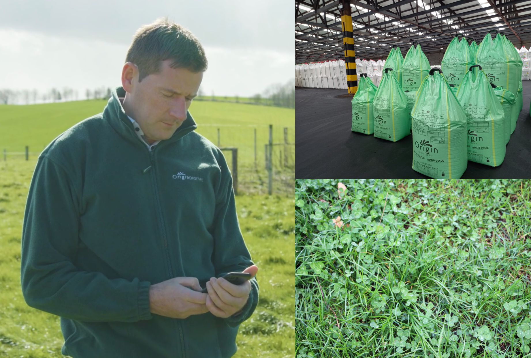 DEFRA project to use digital prescription nutrition tools to help UK grass farmers cut nitrogen fertiliser use